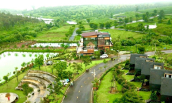 TOP 5 KINH NGHIỆM MUA ĐẤT BẢO LỘC - CÓ NÊN MUA ĐẤT BẢO LỘC