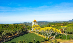 Vì Sao Đất Ở Bảo Lộc Trở Nên Hot Trong Năm 2025?