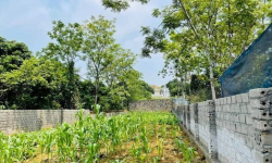 Tin tức bất động sản Bảo Lộc Lâm Đồng: Giá đất nền tăng mạnh, có nơi tăng đến 100%