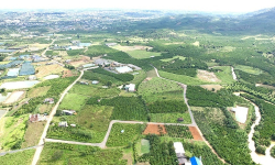 Đầu Tư Đất Nền Hiệu Quả: Bí Quyết Thành Công Từ Chuyên Gia