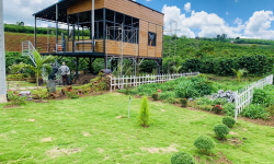 Du Lịch Bảo Lộc: Sự Khác Biệt Giữa Homestay Và Farmstay