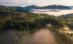 Đất Nền Bảo Lộc Sốt Trong Những Năm Gần Đây - Lý Do Vì Sao?