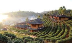 Bất Động Sản Nghỉ Dưỡng Bảo Lộc Cơ Hội Nào Cho Nhà Đầu Tư