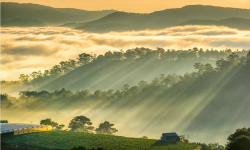 Bảo Lộc - Thành phố sương mù và nét thơ mộng của khí hậu cao nguyên