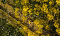 Tu Viện Bát Nhã Ở Bảo Lộc – Chốn An Yên Giữa Cao Nguyên