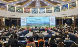 Tin tức bất động sản Bảo Lộc Lâm Đồng: Bảo Lộc – từ cao nguyên truyền thống đến trung tâm phát triển xanh