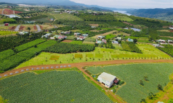 SỐT ĐẤT ẢO BẢO LỘC – 1 LÀN SÓNG NHIỄU LOẠN TRÊN BẢN ĐỒ NGHỈ DƯỠNG