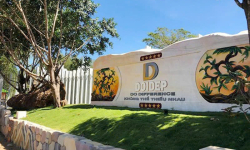 Ai là người đứng sau Tập đoàn Đôi Dép hùng mạnh?