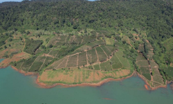 TOP 5 CÔNG TY BẤT ĐỘNG SẢN UY TÍN TẠI BẢO LỘC: UY TÍN - CHẤT LƯỢNG - TƯ VẤN TẬN TÂM