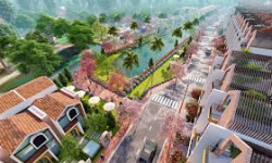 Giải Mã Có Nên Mua Đất Bảo Lộc - Cơ Hội Và Thách Thức Năm Nay