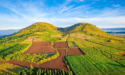 Tin tức bất động sản Bảo Lộc Lâm Đồng: Tập đoàn T&T đề xuất đầu tư khu đô thị phức hợp và vui chơi giải trí R’Chai tại Đức Trọng