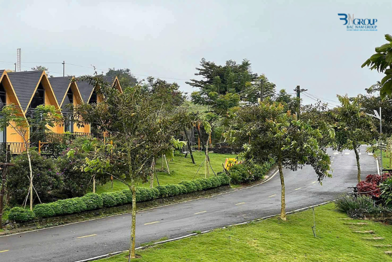 5 Xã Sáp Nhập Vào Thành Phố Bảo Lộc