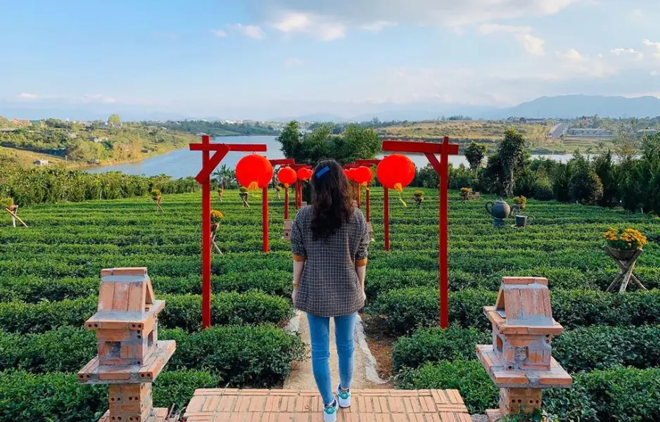 Chùa Trà Bảo Lộc