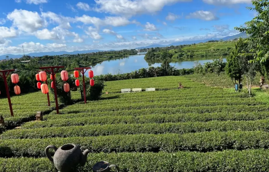 Chùa Trà Bảo Lộc