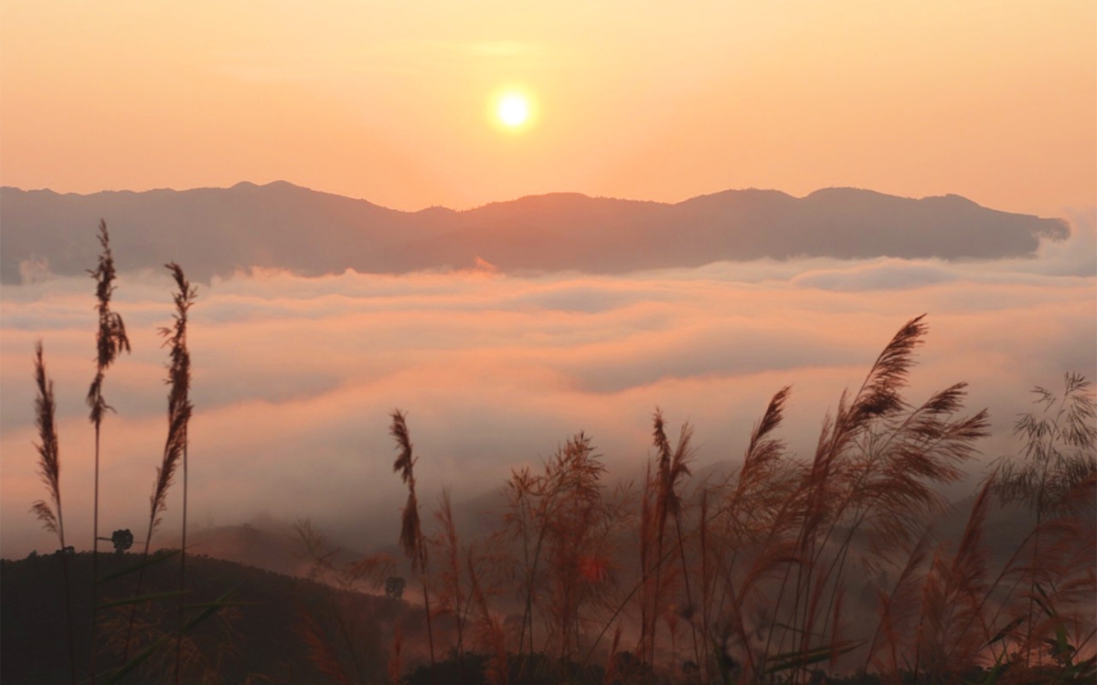 Đồi Vô Ưu