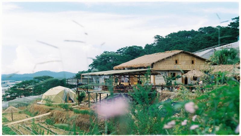 Kinh Doanh Homestay Ở Bảo Lộc