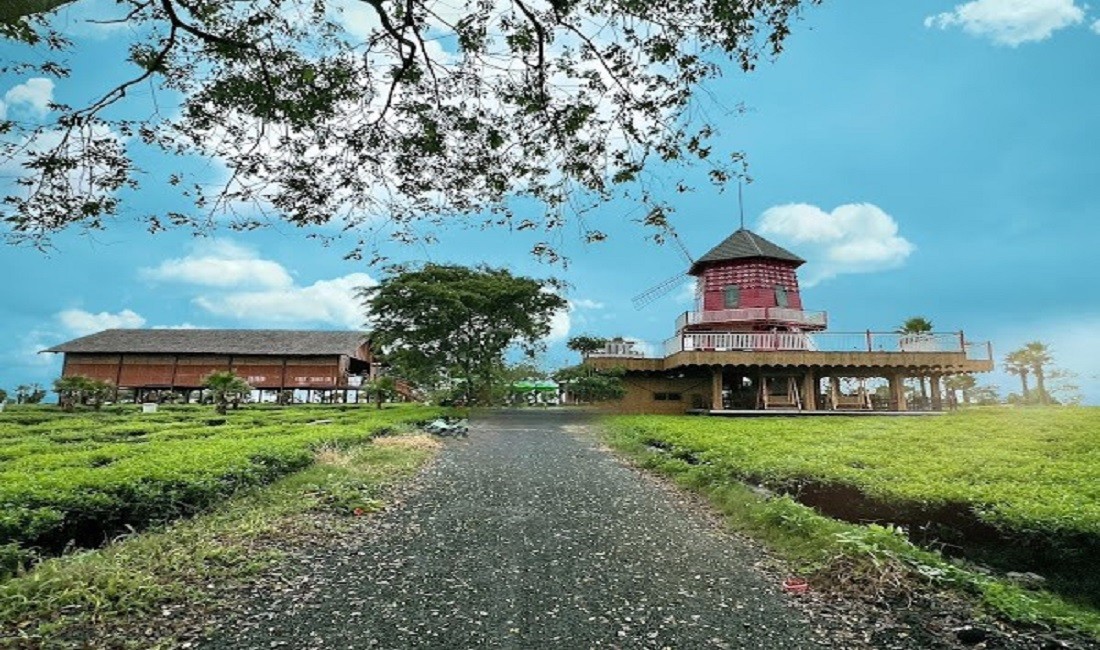 Làng Chè Tây Nguyên