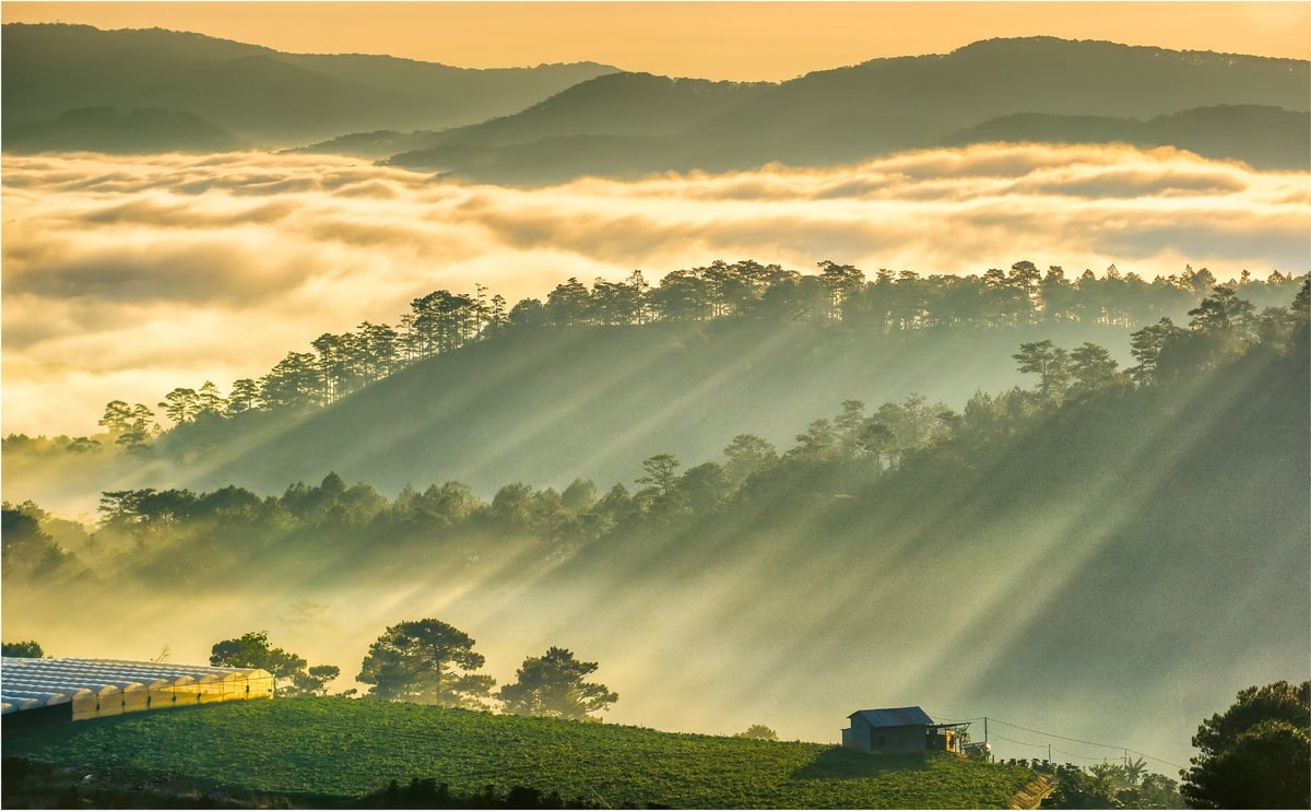 Nét Đặc Trưng Khí Hậu Bảo Lộc