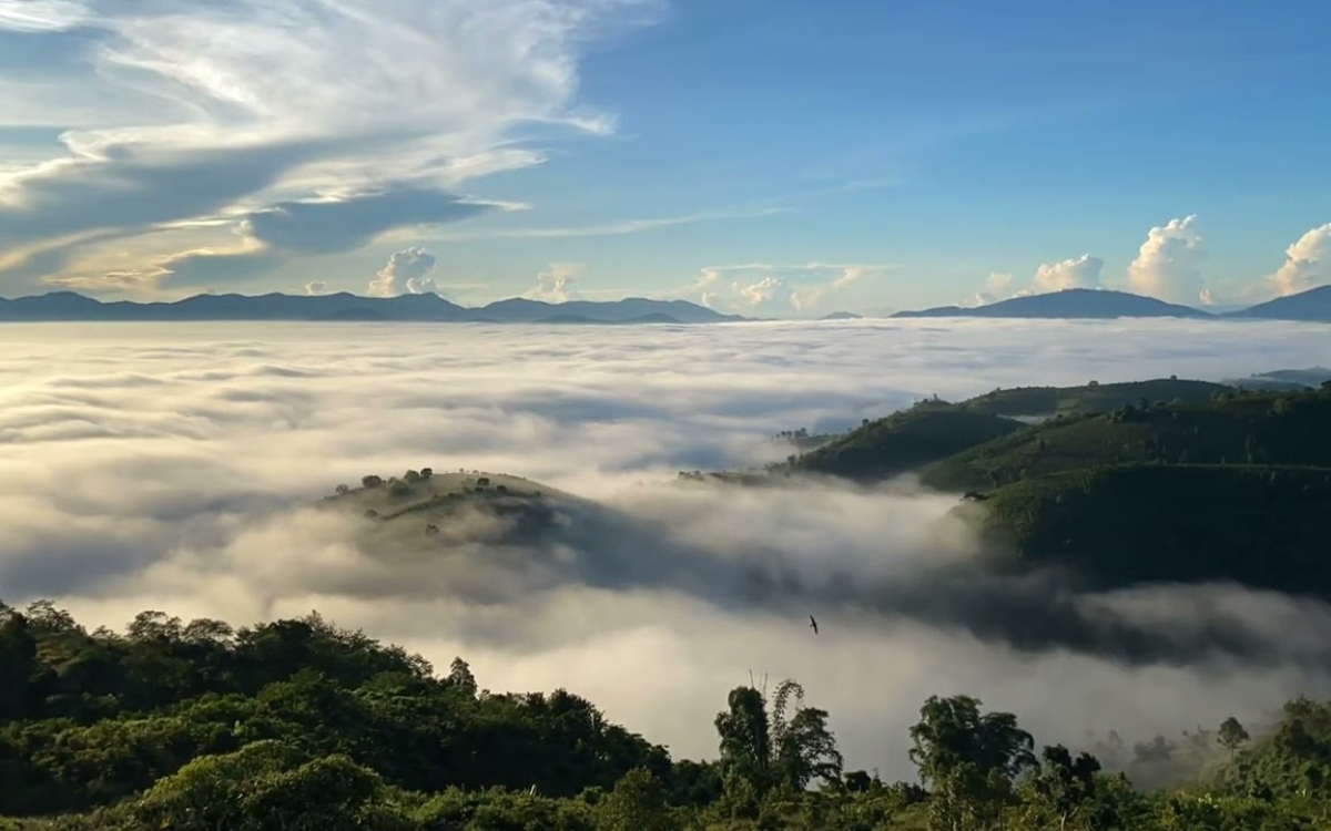 Núi Đại  Bình