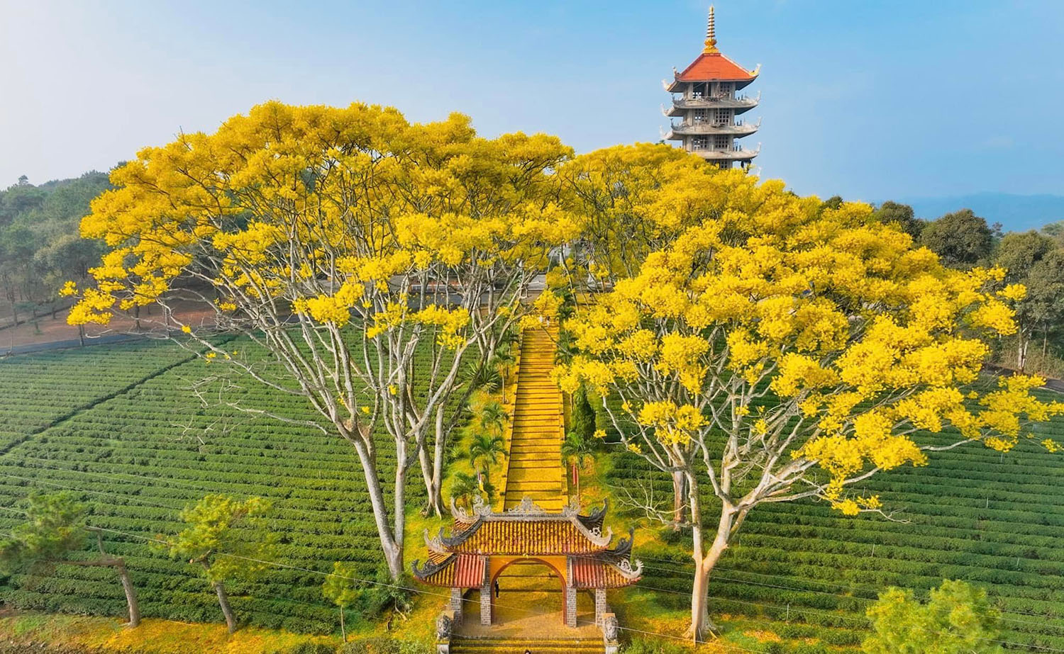 Tu Viện Bát Nhã